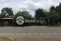 Số lượng có hạng nhanh tay nhanh tay