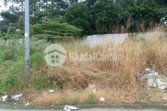 Bán đất đường số 14, kdc chánh nghĩa, p.chánh nghĩa, thủ dầu một, bình dương.