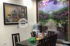 Nhà đẹp,full nội thất gần vườn hoa phố ái mộ 52m2 giá 4,6 tỷ