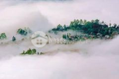 Mảnh đất 889m2 tại thôn sín chải y tý đã có trích đo an toàn đầu tư