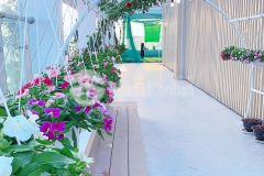 Bán lô đất còn sót lại khu phan đình phùng