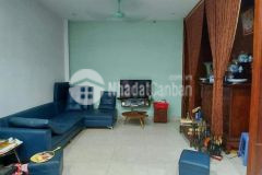 Ban nha trân thai tông,câu giây,siêu hot,siêu re