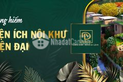 Đất gần ngã ba phi hổ, dambri, lâm đồng giá 1ty8