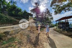 Có 1 không 2 mảnh 579m2 tại sín chải,sapa 2, đã có trích lục tổng,giá rẻ