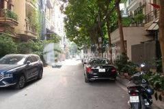 Phân lô vỉa hè ô tô đỗ cửa kinh doanh đỉnh nguỵ như kom tum 55m x 5 tầng