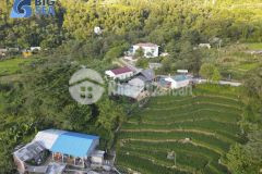 Bán gấp mảnh 194m2 tt y tý, view đẹp giá siêu rẻ