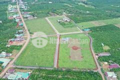 Bán đất vùng xanh mặt tiền lộ giới 24m thổ cư shr