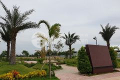 Bán lô góc kdc phước đông garden mặt tiền quốc lộ 50 chỉ 12trm2 0988878257