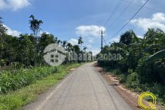 Mở bán 4 lô đất đẹp mặt tiền đường nhựa 10m giá chỉ 2xx