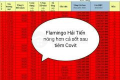 Hàng hot. độc quyền căn mặt biển flamigo hải tiến. giá 5,9 tỷ. chiết khấu 590 triệu