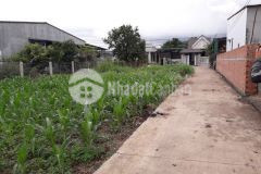 Bán 4 lô đất liền kề hoà khánh ngay chợ đoàn kết giá đầu tư chỉ từ 335 triệu