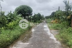 Bán đất đường chính thôn 4 xã eakao tp bmt giá 115trm