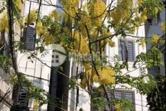 Nhỉnh 2 tỷ có nhà 5 tầng tại quận long biên, khu vực đông vui sầm uất.