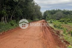 Nguồn f0 đất bình phước dt 5x30 có sẵn 100m tc giá 250 triệu