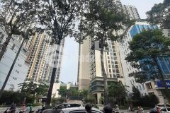 32 quận10 2 mặt tiền đang cho thuê 90trthđầu đường 32. vip 25 tỷ.