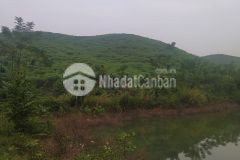 Đất rừng thanh sơn, phú thọ 90ha, giá 16 tỷ