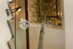 Hot siêu phẩm cầu giấy gara ô tô thang máy 45m2 9,1 tỷ