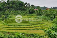 Bán980m view đẹp giá 480tr