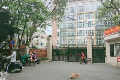 Biệt thự mini trung tự, 60m2, mt 5m, chủ tự xây, đẹp không tỳ vết, 7.25 tỷ. 0703451750