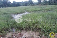 Cần bán lô đất kiệt nguyễn hoàng, phường đông lương, tp đông hà