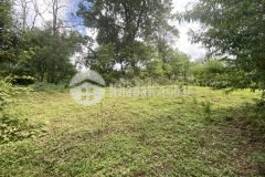 Đất nền y tý quá đẹp dể đầu tư