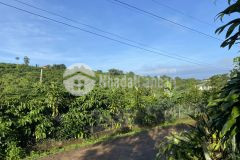 Đất nghỉ dưỡng ở lộc an gần tp. bảo lộc, giá chỉ 2,5trm2, view suối, 20m mặt tiền đường nhựa