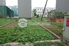 Đất đấu giá việt hưng. cạnh vinhomes the harmony. 80m2, mt 5m.