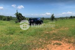 Bán đất view safari flycam đẹp như hình 1,4 ha, tiềm năng phát triển du lịch