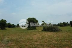 Bán đất vườn hoà thắng cách đường đt 716 và khu công nghệ cao 350m chỉ 150km2 lh 0938677909 hiền