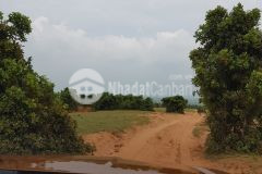 Cần bán 6396m2 đất vườn bình thuận cách quốc lộ 1a 2km chỉ 639tr sổ có đường lh 0938677909 hiền