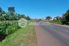 Bán đất mặt tiền quốc lộ 26 xã hoà đông krông pắc daklak giá chỉ 1,5 tỷ