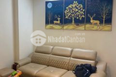 Bán gấp căn 2 phòng ngủ 2wc chung cư mipec kiến hưng hà đông. giá chỉ 1,6 tỷ.