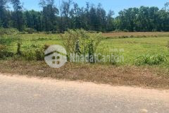 Bán đất đầu tư thủy lương, mặt tiền đường nhựa hoàng phan thái quy hoạch đường 19m5