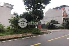 Bán đất nhà vườn tuệ tĩnh, lô góc nhìn chung cư, tp hd, 170m2, đường thoáng rộng