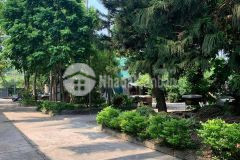 Mỏ vàng trong làng đầu tư, đất xây phân lô, căn hộ cho thuê, biệt thự, đội cấn 398m2 nhỉnh 30 tỷ.