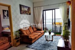 Khu vực siêu vip biệt thự trung tâm phường 2 tân bình, hxt