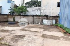 Đất gần 1.200m2 59 tỷ mặt tiền vĩnh lộc a bình chánh. sổ đẹp