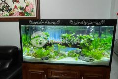 Nhà vương thừa vũ thanh xuân 59.4m2 4tầng giá 5.5tỷ