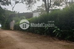 Đất hẻm cấp 1 mậu thân gần ngay vành đai 14 26 thích hợp ở hoặc đầu tư