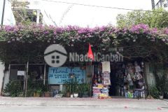 Mặt tiền c4 cao bá nhạ 293m2,q1,giá 100 tỷ