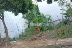 Chính chủ bán đất phân lô, ôtô, ngô thì nhậm, hà đông, nhỉnh 4 tỷ. 0984473738