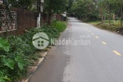 Cần bán gấp lô đất 200m2 tại đồng xuân giá ưu đãi đặc biệt