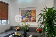 Bán nhà mặt ngõ giáp nhị, thiết kế hiện đại,gần ô tô tránh, 3.95 tỉ