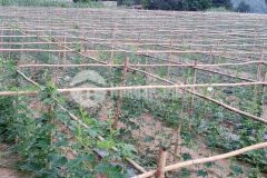 Siêu phẩm đất lạc thủy, hòa bình 25ha, giá 30 tỷ