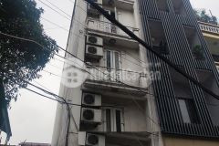 Bán nhà mặt phố quận long biên 60m 7t thang máy gara oto, kd vp, spa, phòng khám