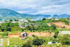 D1050 bán đất biệt thự măng lin, view thung lũng p7 tp đà lạt.