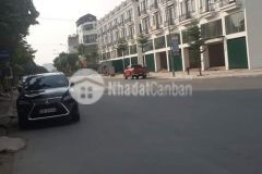 Shophouse sồng hồng nơi đầu tư của những nhà thông thái