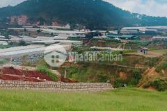 Bán gấp lô đất xây dựng hẻm ô tô xã xuân thọ thành phố đà lạt.