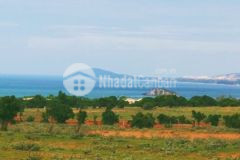 Siêu phẩm cây lâu năm 9400m2 view biển, cách đường biển 800m, giá chỉ 140.000m2