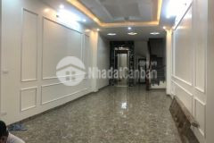 Tuyệt phẩm dịch vọng hậu, cầu giấy, dt 45m2, 7t, mt 3,9m, lô góc, có thang máy, nhỉnh 7 tỷ